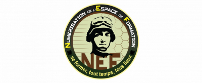 La numérisation de l’espace de formation